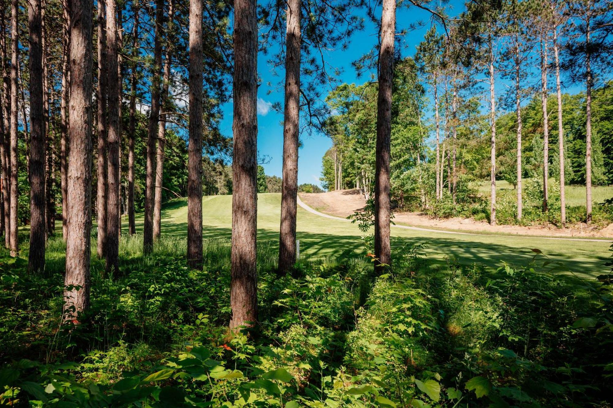 Ski From The Tee @ Crystal Mountain Villa Thompsonville Exterior photo