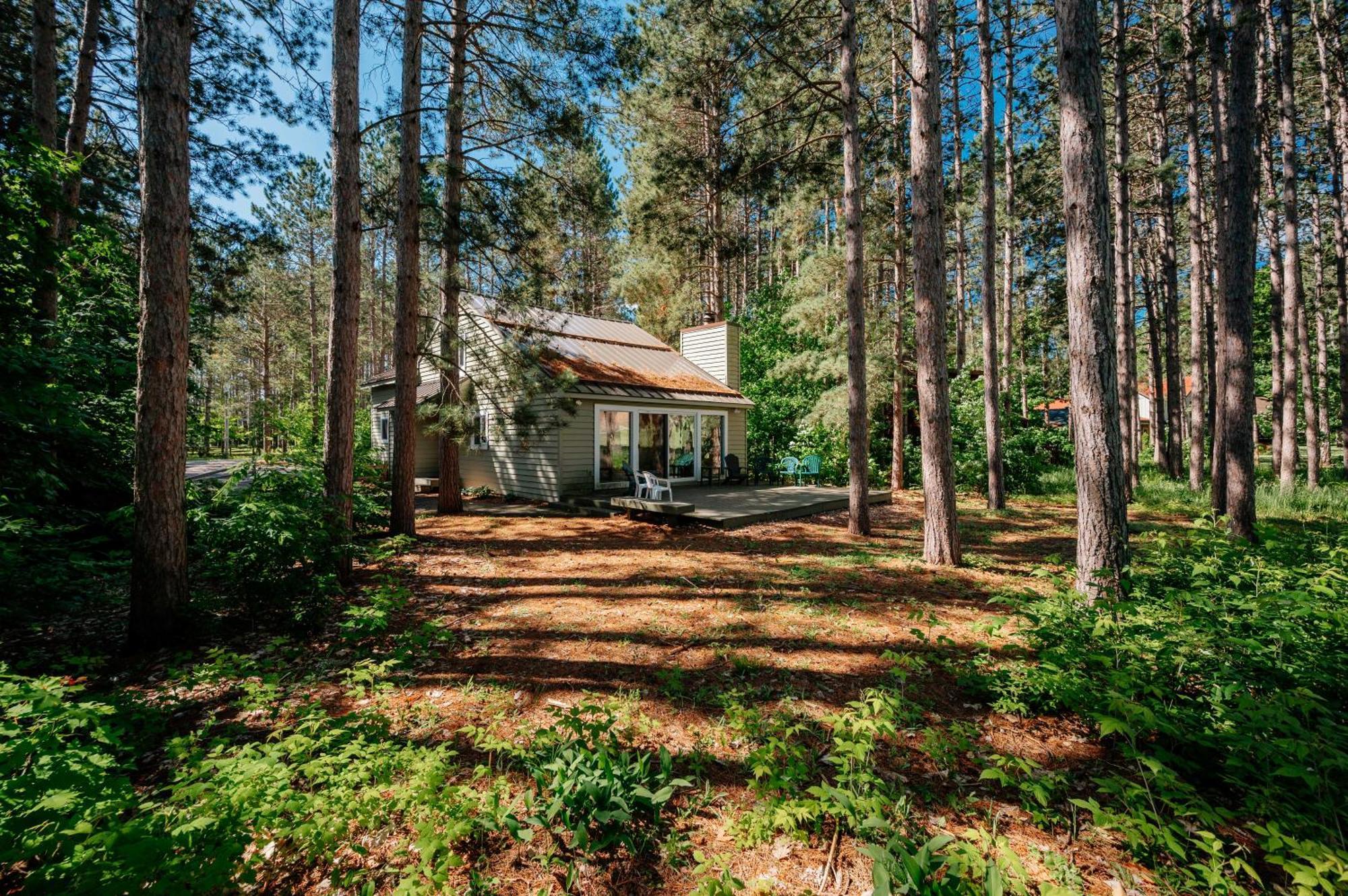 Ski From The Tee @ Crystal Mountain Villa Thompsonville Exterior photo